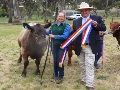 Shout out a welcome to the 157th Clare Show, located in the Clare Valley.