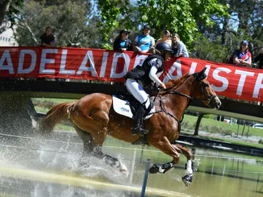 The Adelaide Equestrian Festival is the premier equestrian event in the Southern Hemisphere.