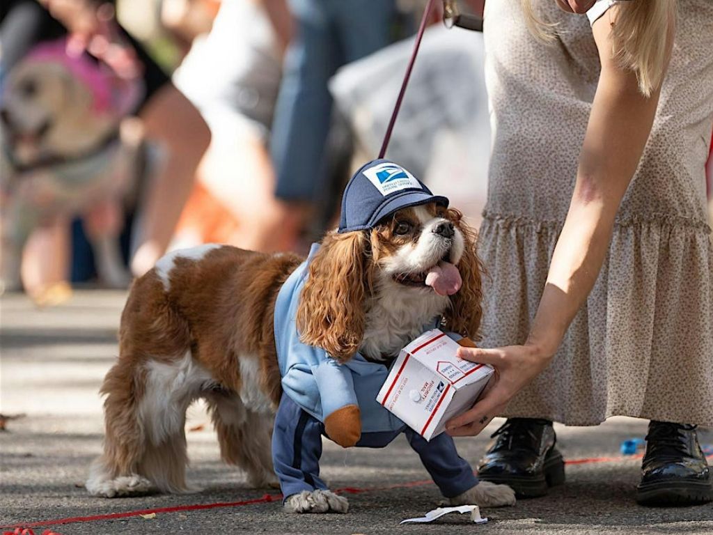 26th Annual Great PUPkin Dog Costume Contest 2024 1