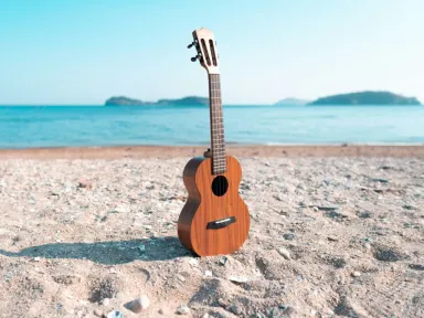 The 9th Annual Los Angeles International Ukulele Festival, presented by...