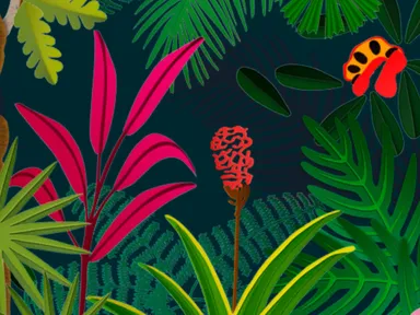 Step inside this immersive, sensory exhibition featuring spectacular rare and unusual tropical and s...