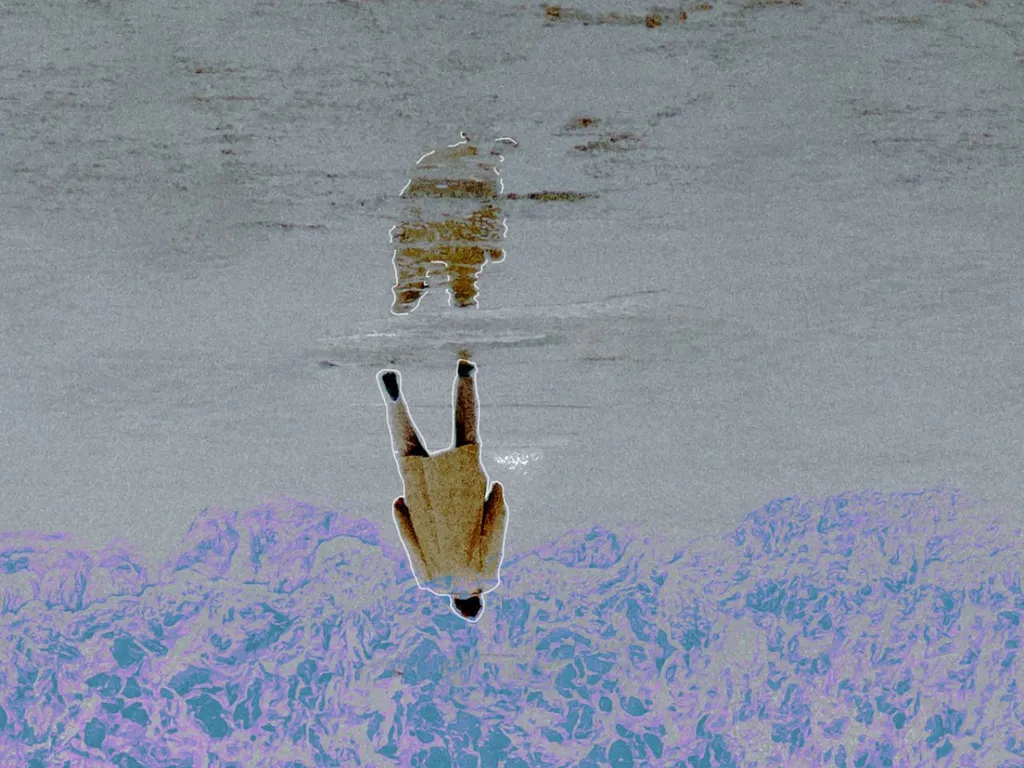 Asphalt Words and Ocean Dreams 2025 1