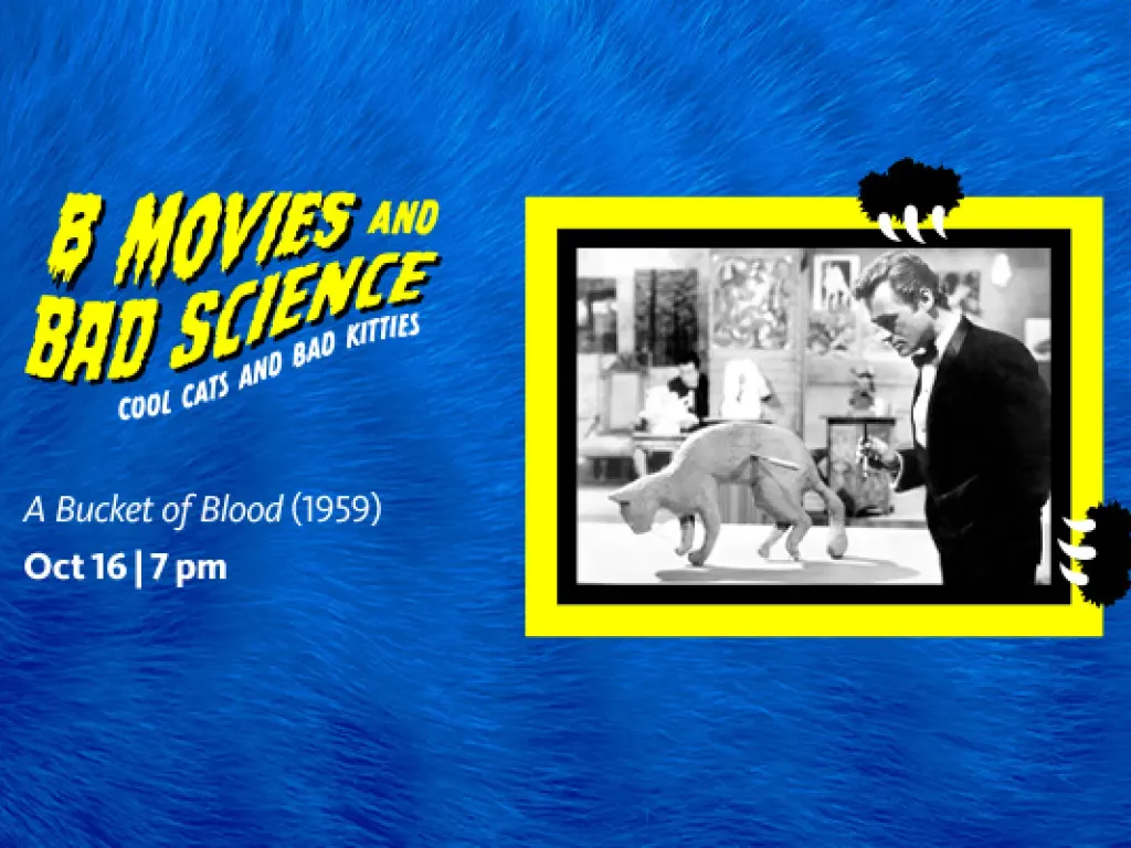 B-Movies and Bad Science: Cool Cats and Bad Kitties  – A Bucket of Blood (1959) 2025 1