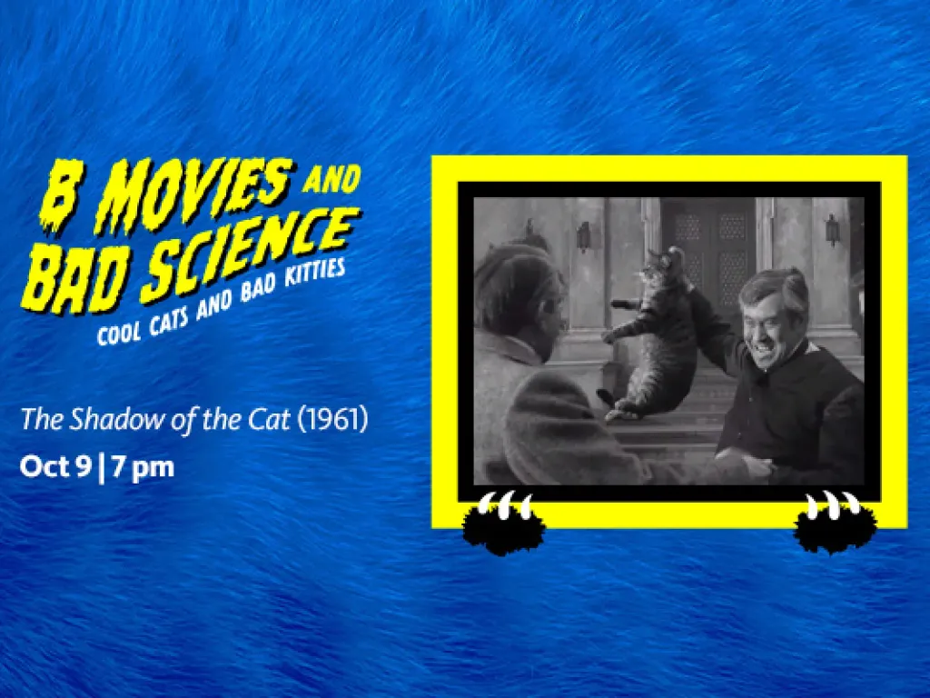 B-Movies and Bad Science: Cool Cats and Bad Kitties  – The Shadow of the Cat (1961) 2025 1