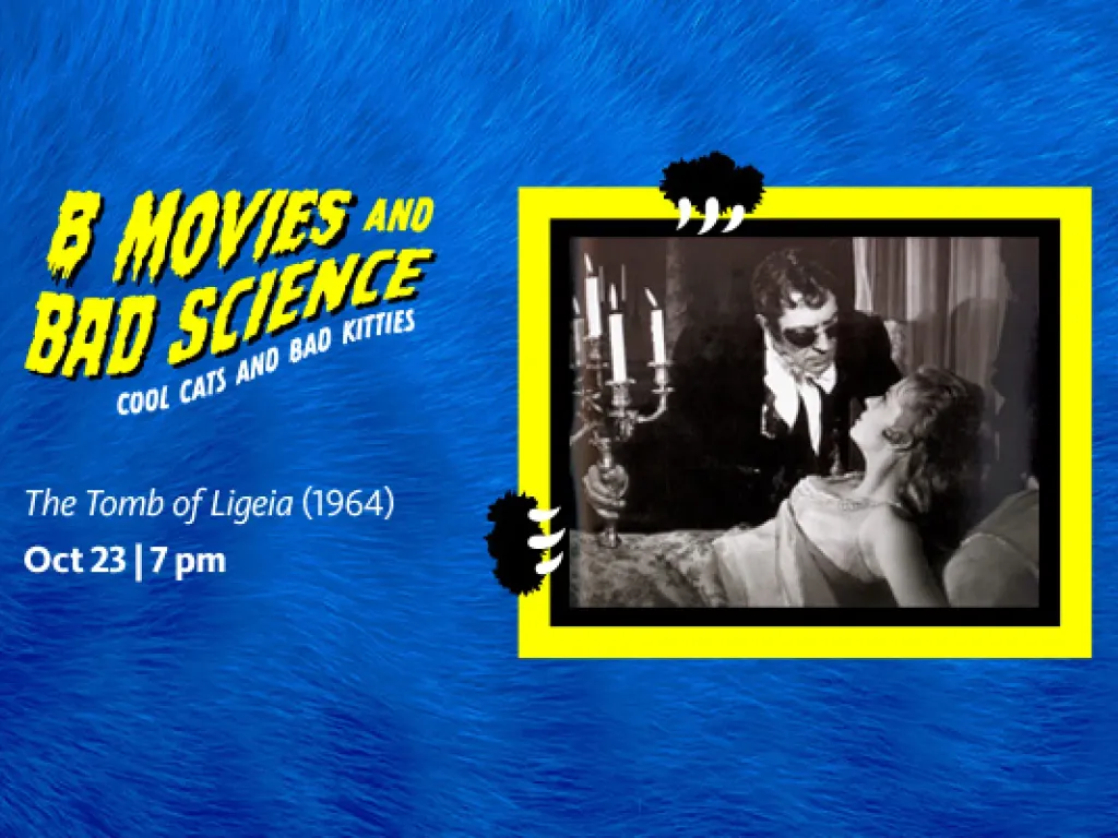 B-Movies and Bad Science: Cool Cats and Bad Kitties  – The Tomb of Ligeia (1964) 2025 1