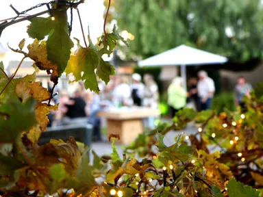 Once again, the Tanunda Town Square precinct is gearing up to buzz with activity as the Barossa Made Markets return to showcase the incredible talents