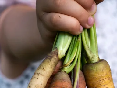 Kids Only ‘Behind the Scenes’ Northside Produce Market toursKids, join the Northside Produce Market ...