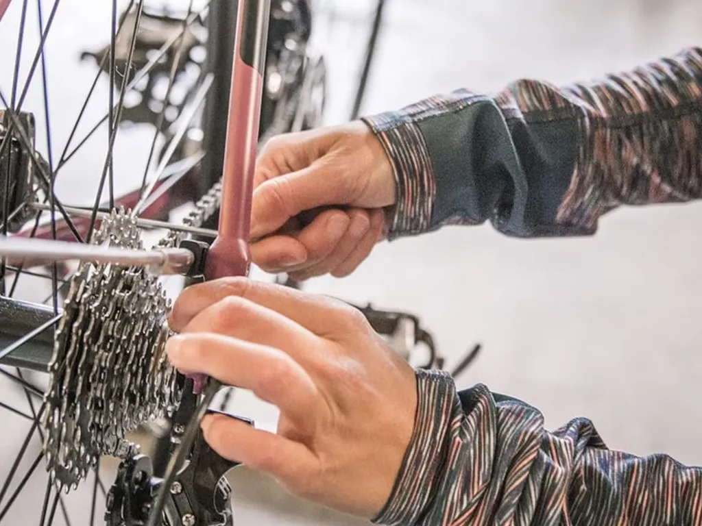 Bicycle Maintenance 2024 1