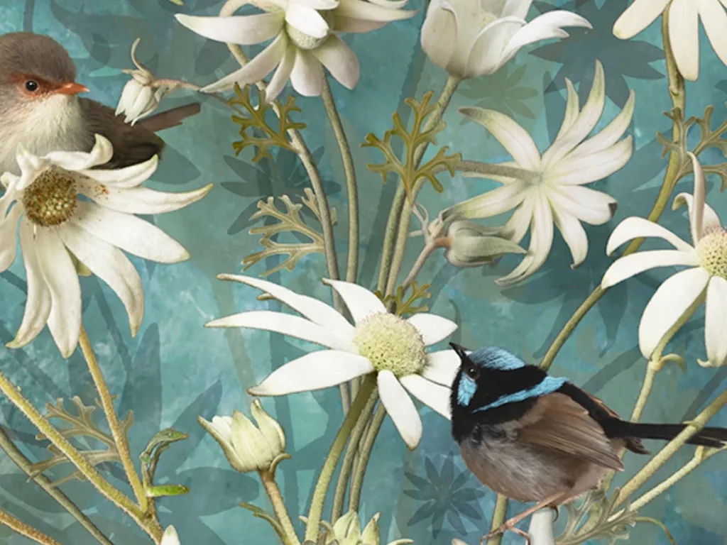 Birds, blooms and bush tapestries 2024 1