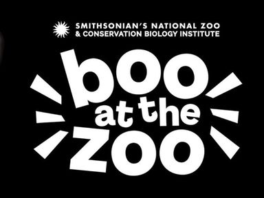 Get ready for a WILD Halloween evening! Boo at the Zoo, Smithsonian’s National Zoo and Conservation Biology Institute’s beloved family-friendly event