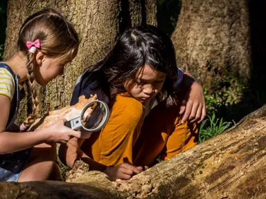 Join our Bushrangers camp for a full day of outdoor adventure and orienteering in this child-led pro...