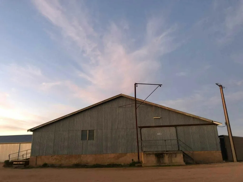 Calperum Station Fundraising Bush Ball 2024 1