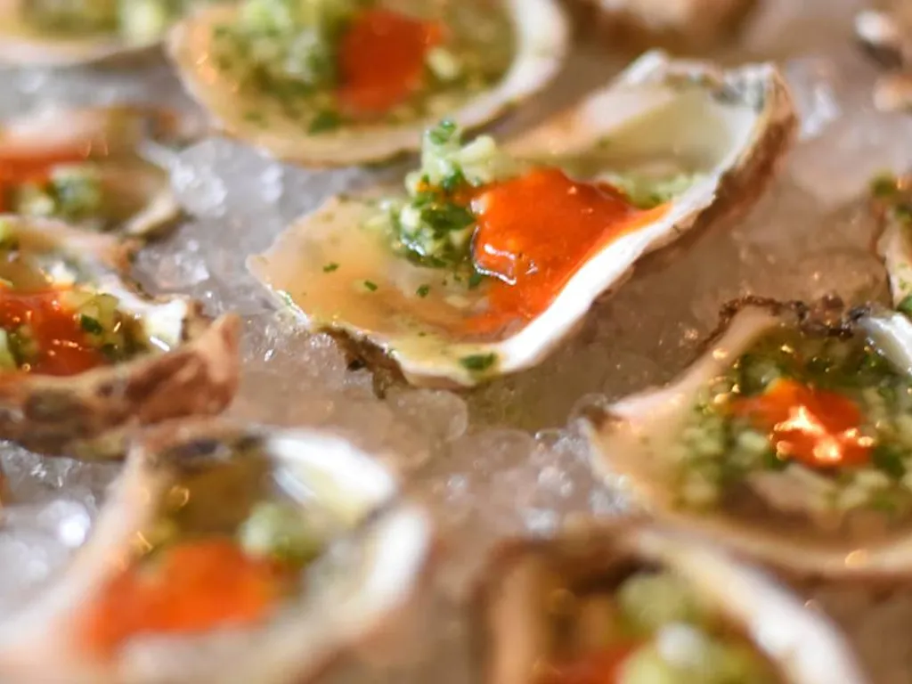 Catch of the Day: A Seafood Feast Presented by Modelo, Hosted by Andrew Zimmern 2025 1