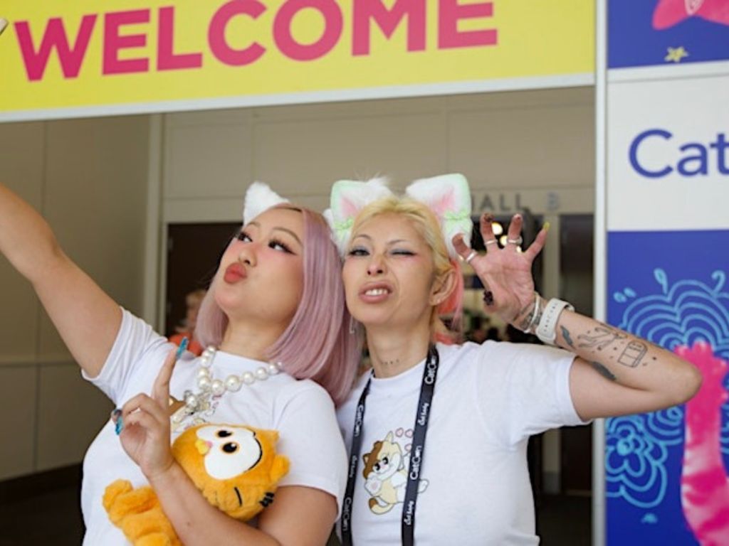 CatCon 2025 1