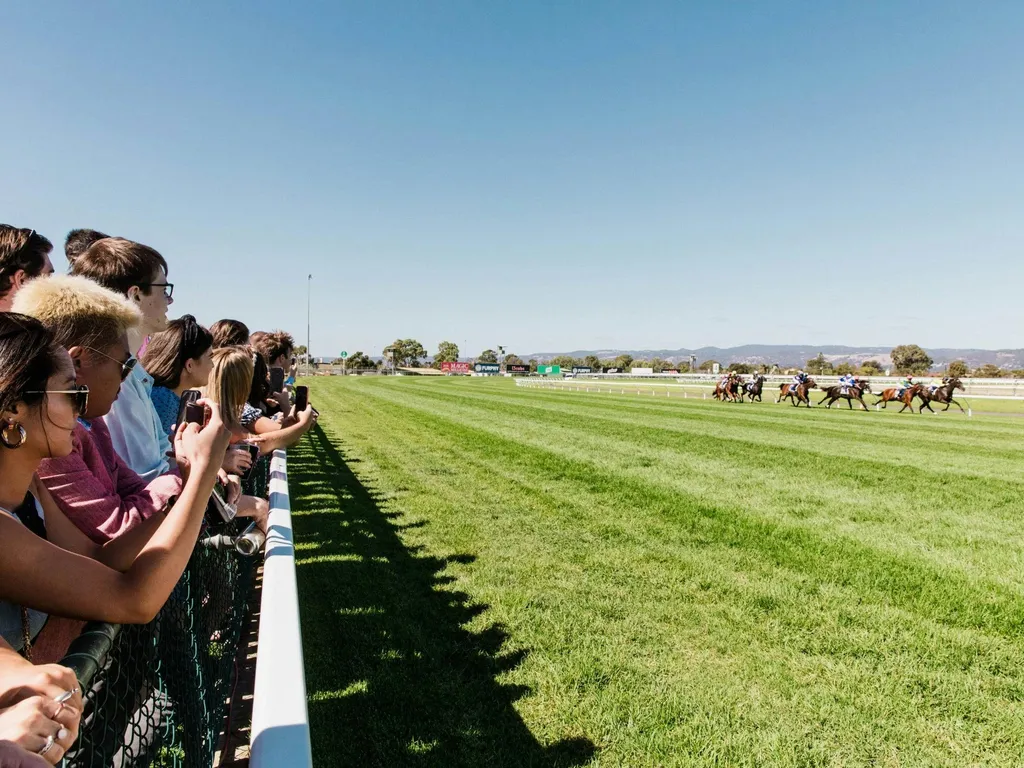 Champions Stakes Day 2024 1