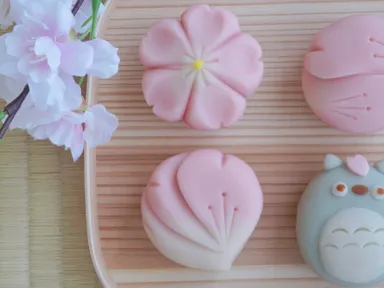 Celebrate the beauty of spring with our Sakura Special Nerikiri Making Workshop. In this hands-on se...