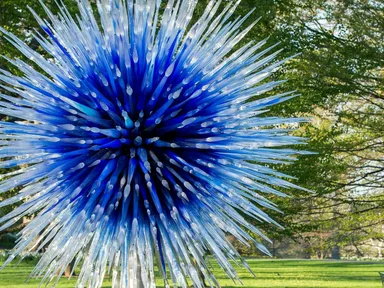 As you meander under majestic trees and through the lush landscapes of Adelaide Botanic Garden, an event by the world&#39;s most celebrated contemporary glass artist,