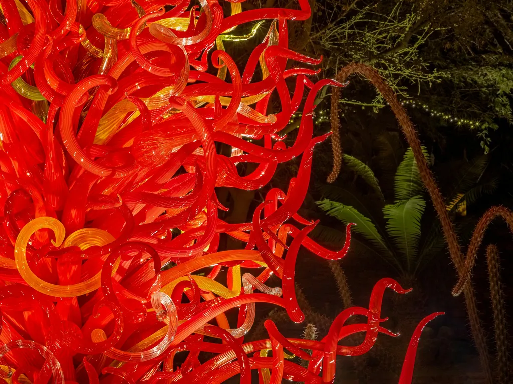 Chihuly Nights 2024 1