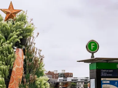 Barangaroo's Christmas is a vibrant celebration of community, culture and connection!This festive se...