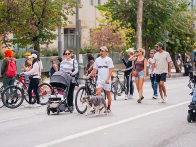 What:&nbsp; CicLAvia &nbsp;is a non-profit organization that has been opening...