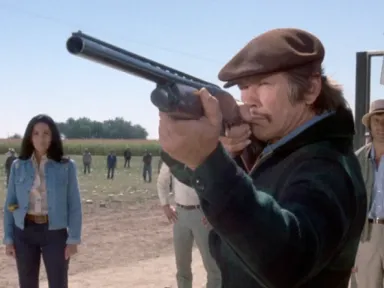 Charles Bronson stars as an ex-con and Vietnam vet whose...