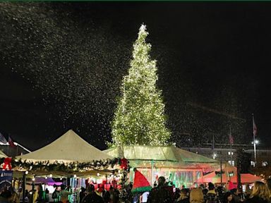 Join us for a festive evening at Civic Center Plazaas we light up the holiday season! Happening rain or shine!