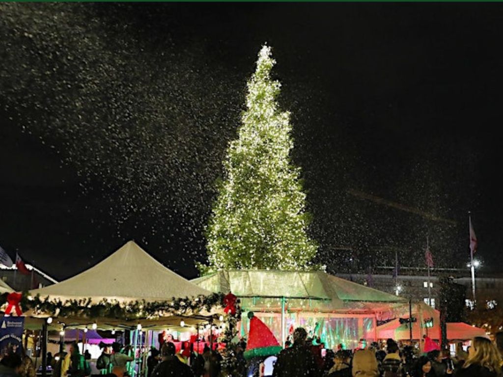 Civic Center Plaza Holiday Tree Lighting 2024 1