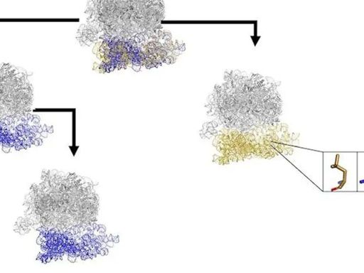 This workshop aims to ignite innovative thinking on how we can address current challenges in capturing and modeling conformational ensembles