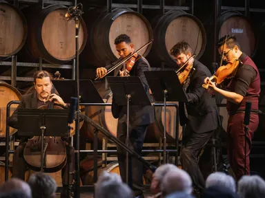 The Coriole Music Festival is an immersive two days of beautiful chamber music, with meals and wine included.