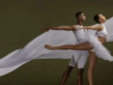 Music by Tchaikovsky, Prokofiev, and Adolphus Hailstork intertwines with dance...