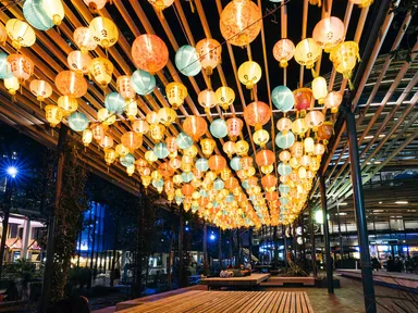 The Moon Festival, also known as Mid-Autumn Festival celebrates the Autumn harvest and originates fr...