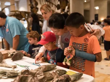 Celebrate all things dinosaur with the Natural History Museum of...