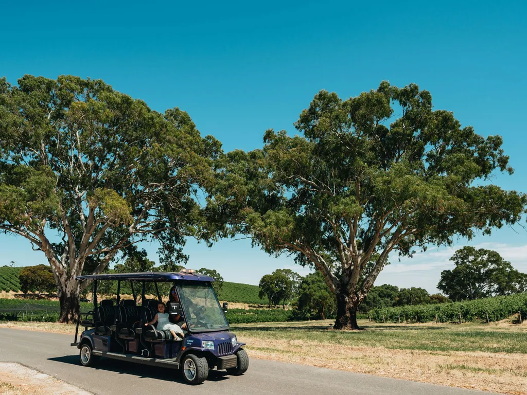 EcoVine Explorer - vineyard e-cart tours 2024 1