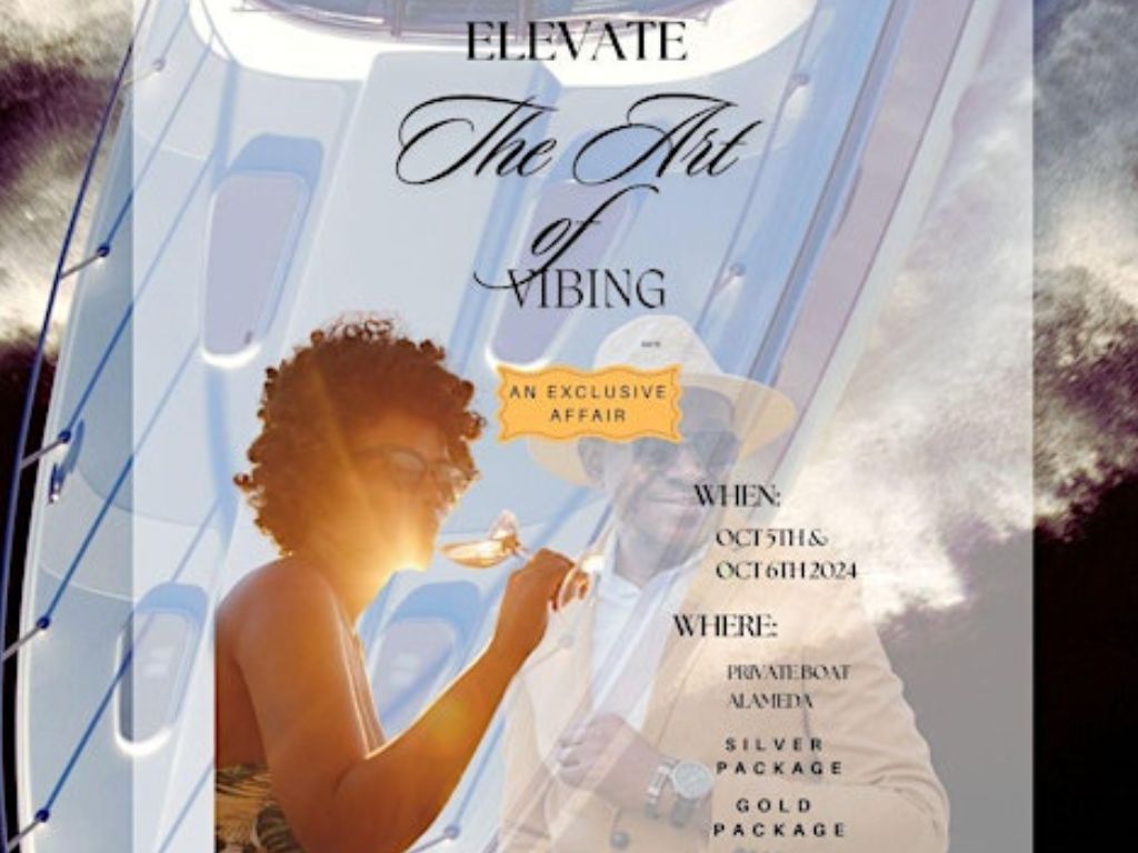 Elevate Art of Vibing An exclusive affair 2024 1