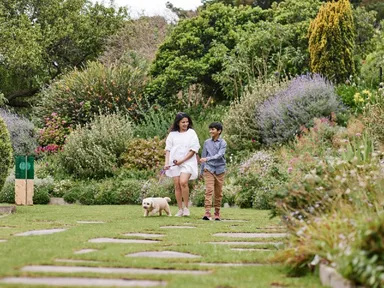 Join the Bowerbird Collective to celebrate the closing night of the Nature Festival with a sunset concert. Hear these internationally renowned musicians on violin, cello