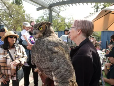 Fly, hop, waddle or soar to California Botanic Garden for...