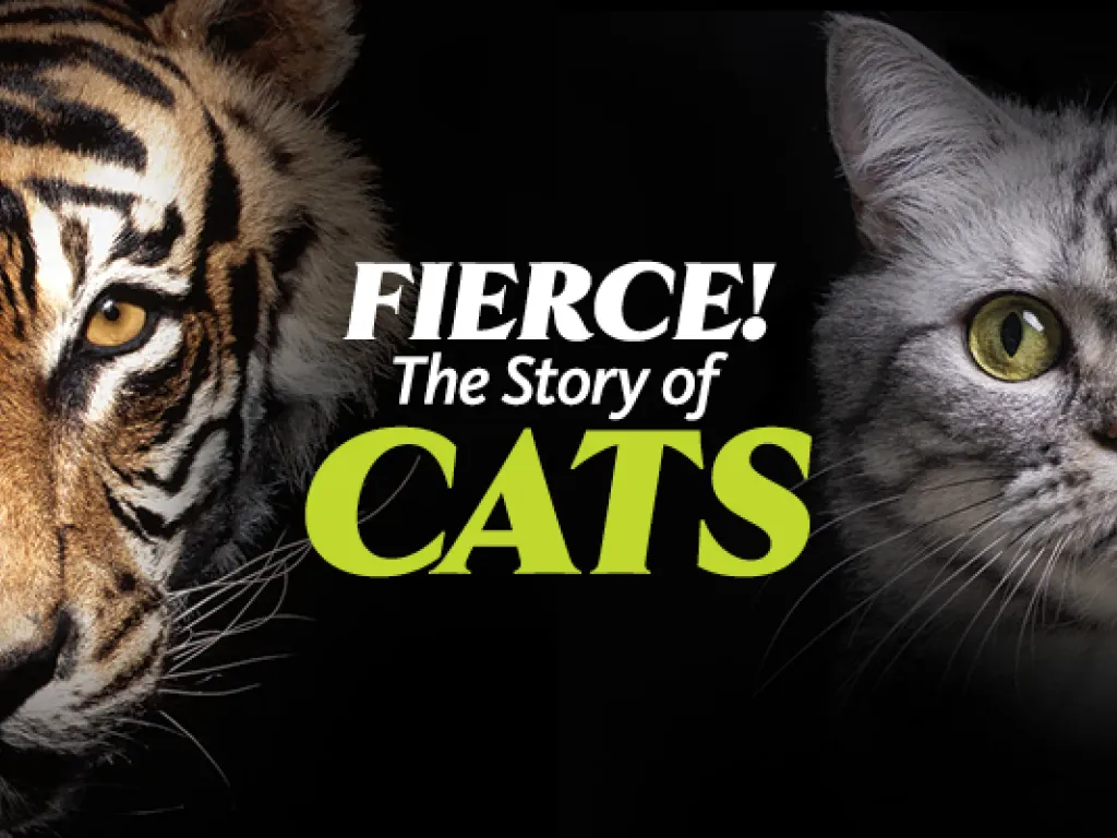 Fierce! The Story of Cats | Welcome Day 2025 1