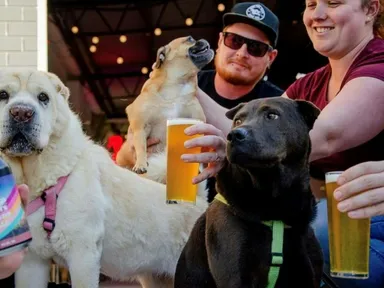 On the third Sunday of the month, they open up the venue to the neighbourhood dogs.