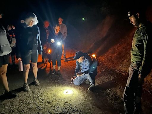 A night hike to explore our local "nightlife" including bats and owls! 