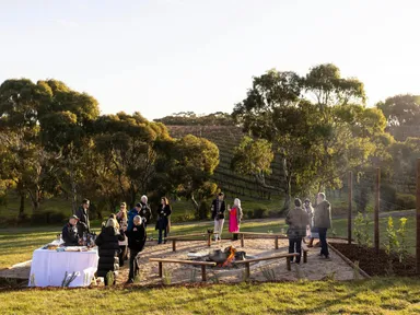 Immerse yourself in the beauty of McLaren Vale with an intimate vineyard tour at the Ace of Trumps Vineyard.