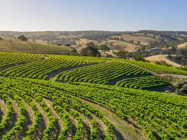 Join this unforgettable tasting experience at the McLaren Vale Grenache &amp; Gourmet regional festival, hosted by Hickinbotham Wines.