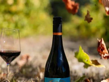 Complimentary tasting of our Beresford Emblem &#39;Old Vine&#39; Blewitt Springs Grenache at Beresford Tasting Pavilion! Experience the magical flavour from the gnarly 60+ yo bush