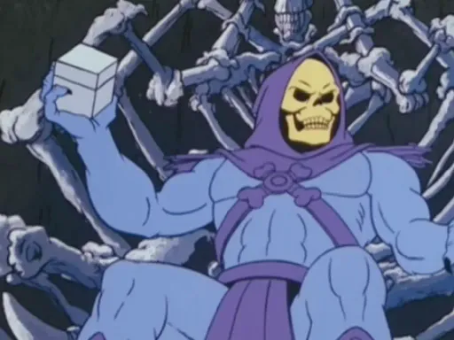 HE-MAN AND THE MASTERS OF THE UNIVERSE / SHE-RA: PRINCESS