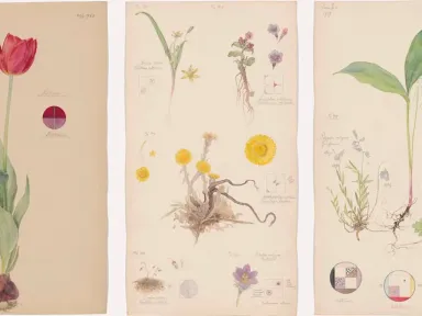 The Swedish artist Hilma af Klint spent the springs and...