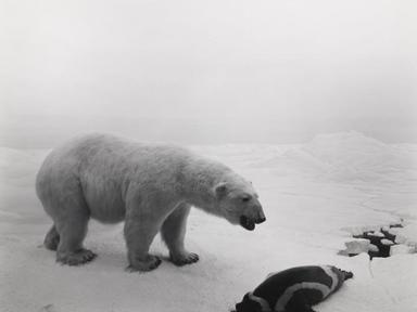 Over the past 50 years, photographer Hiroshi Sugimoto has created some of the most celebrated and recognisable images in contemporary art.