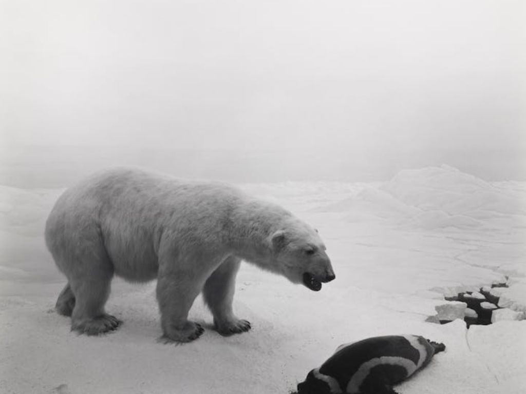 Hiroshi Sugimoto Time Machine 2024 1