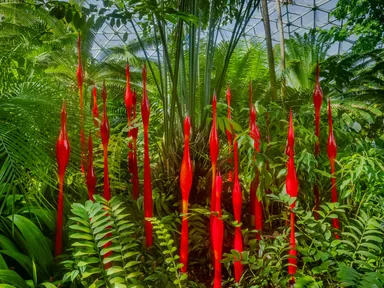 Deep dive into the world of Dale Chihuly in this accompanying exhibition that explores the celebrated artist’s life, career, inspirations, epic installations, and his remarkable