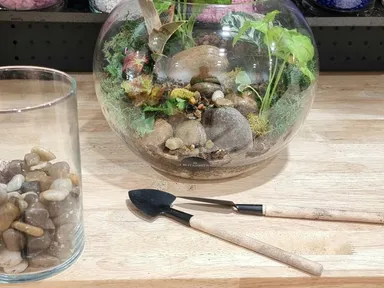 Learn how to create a stunning indoor terrarium at this hands-on workshop in Port Noarlunga. Get your hands dirty and bring home your own beautiful