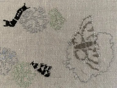 For Interwoven II&nbsp;(2024), Marta Ferracin will embroider and record the subtle changes of the bi...