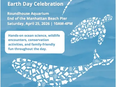 The Roundhouse Aquarium, managed by the Oceanographic Teaching Stations, Inc.,...